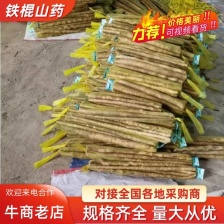 临漳铁棍山药 现货供应 基地供货 各种规格都有各种包装山
