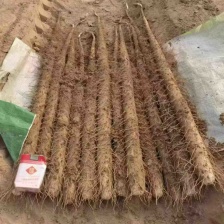 【山药】 社区团购供应一件定制包电商多多买菜美团精品山药