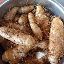 红泥土毛薯 广东毛薯 基地一手货！货源充足！价格实惠