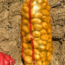 山东精品<font color=red>土豆</font>，荷兰十五<font color=red>土豆</font>黄皮黄心，