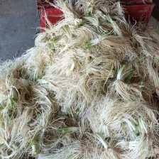 潍菜农科有限公司