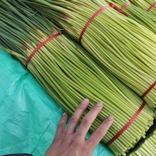 山东精品蒜薹产地，新鲜红帽蒜苔大量上市，有大型冷库可存放