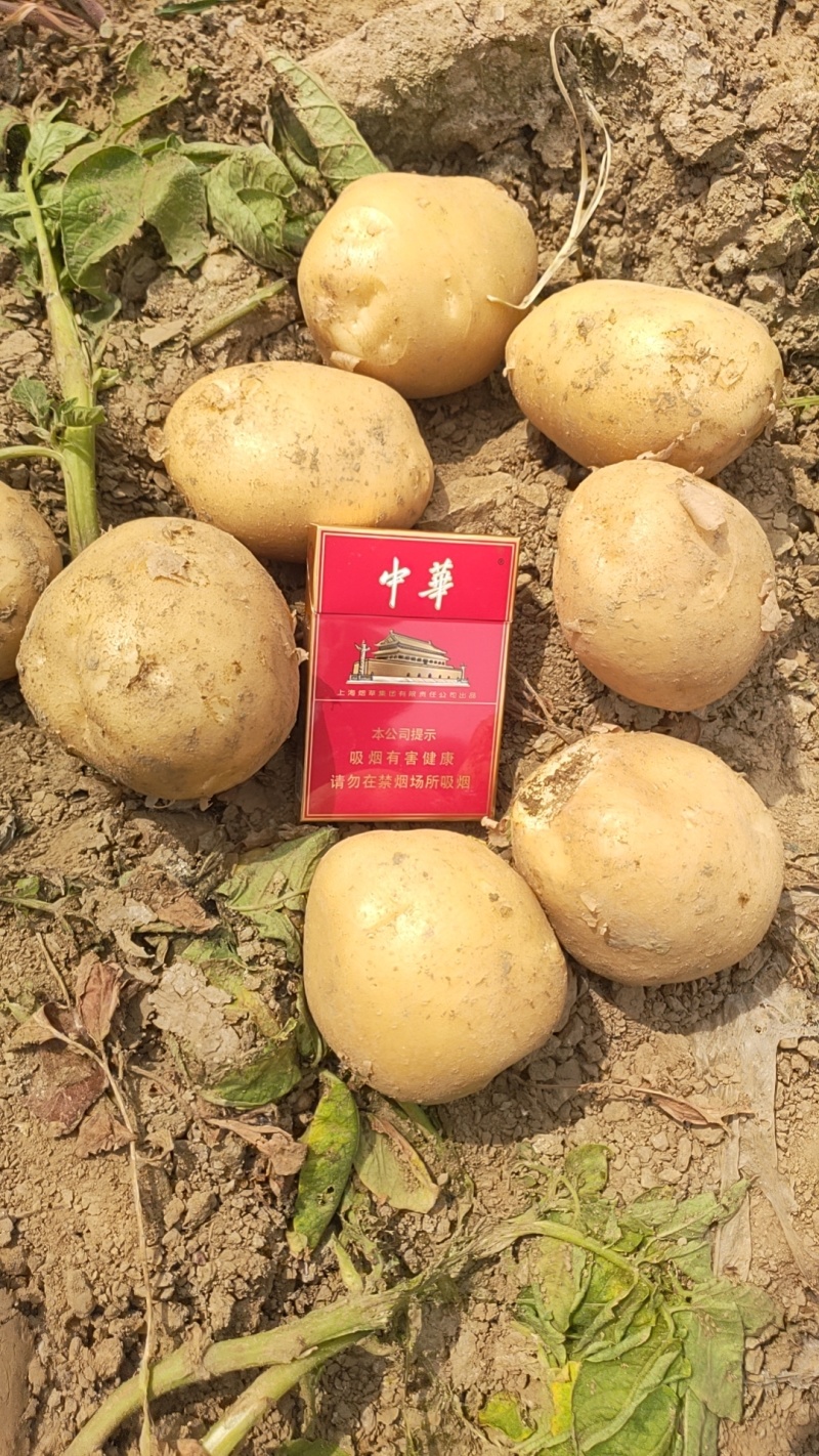 运来了物流有限公司