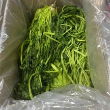 东台雪里红大量上市，品种齐全，物美价廉，产地直销