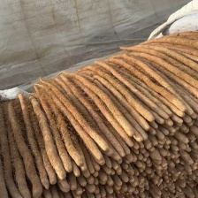 临漳铁棍山药，大量现货，价格不高，欢迎各位老板咨询采购