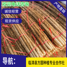 临漳铁棍山药，大量现货，价格不高，欢迎各位老板咨询采购