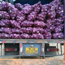 紫皮洋葱大量上市可供超市，电商产地质发，发往全国各地