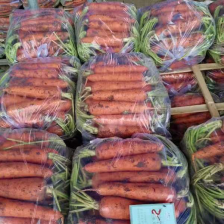 邯郸永年胡萝卜大量上市，好货供超市批发市场，价格合理对接