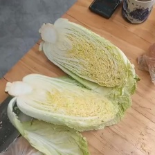 黄心大白菜大量上市500亩基地一手货源