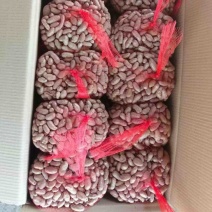 欢迎下单现货一手货源对接全国量大从优