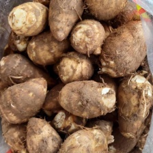 广西正宗荔浦芋头