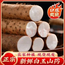 山东精品双棒<font color=red>山药</font>网袋货，电商货，市场