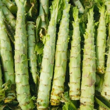 安徽精品莴笋大量上市，保质保量，一条龙服务