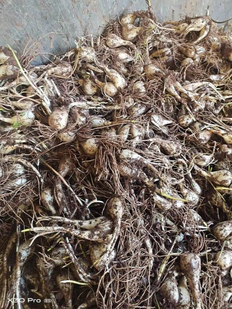 惠仁农副产品购销部