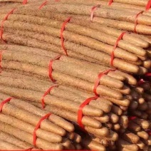 <font color=red>山药</font> 铁棍<font color=red>山药</font>河南铁棍<font color=red>山药</font>  基地发