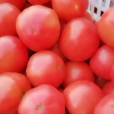 硬粉<font color=red>西红柿</font> 弧二以上 硬粉 通货