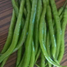 （精品推选）广东薄皮椒，苏椒，大量货源，可提供市场电商，