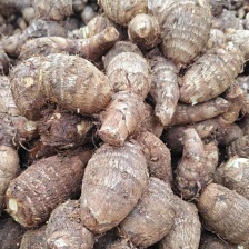 山东毛芋头 ，大球中球小球，全年有货，质量保证价格实惠