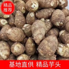 山东8520芋头有货销售，电商，团购批发**，代发全国