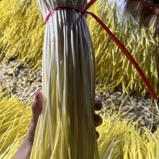 山东蒜黄〔优选〕农家种植现割现发货，40cm以可视频看货