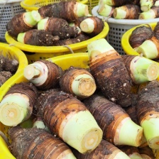 正宗  荔浦芋头  礼盒装 荔浦市产地新鲜现挖发货