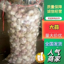 紫皮蒜 大蒜 产地一手货源 规格齐全 价格优惠 来电咨询