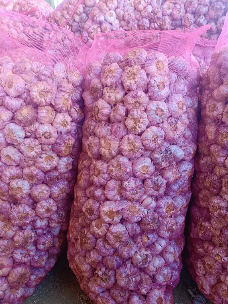 云南紫皮蒜干蒜今年新货农家种植产地直发