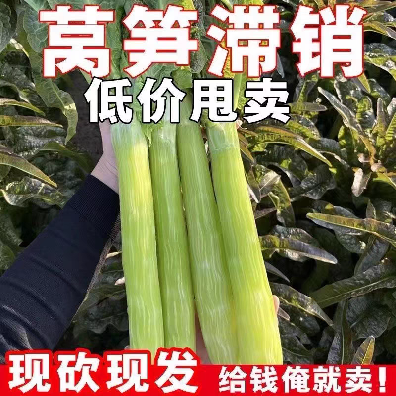 莴笋杆子 加工厂货 电商货 市场货 产地一手货源