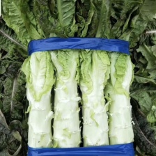 莴笋杆子 加工厂货 电商货 市场货 产地一手货源