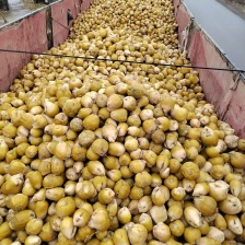 茂名绿繁农业技术开发有限公司