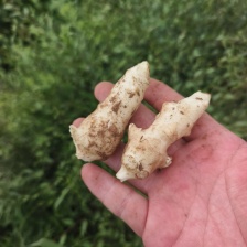 俊生食品有限公司