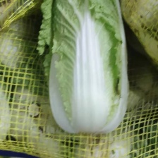 【冷库 黄心大/小颗娃娃菜飞鸽找货 预售】