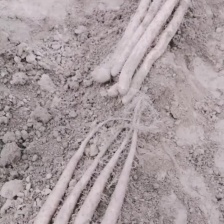 山东山药大量上市近期落价中大车小车随到随装价格便宜