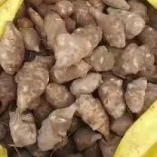 洋姜 ，服务三农，产地发货，欢迎新老客户前来选购。