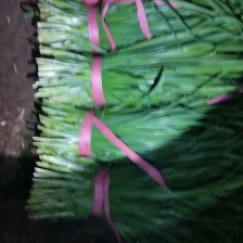 韭菜二刀韭菜根粗叶绿保质保量，一手货源，货真价实