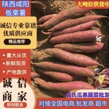 商薯19，长期供货，货源充足 保质保量 合作共赢