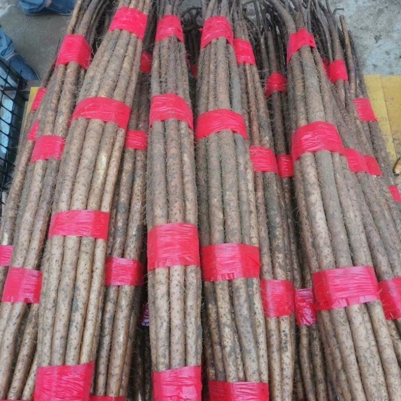 铁棍山药，紫药，双棒山药，麻山药，垆土地铁棍山药