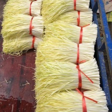 沾益盘江青发蔬菜基地