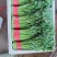 茼蒿，精品蒿子秆 量大质优！茼蒿，大量有货！
