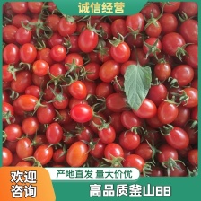 千禧圣女果，产地直供诚信合作，千禧果t7，千禧圣女果系列