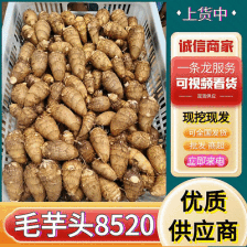 山东芋头豆包芋头8520芋头货源充足产地直发