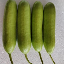 聊城莘县魏庄市场代收