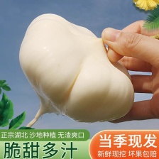 李红周