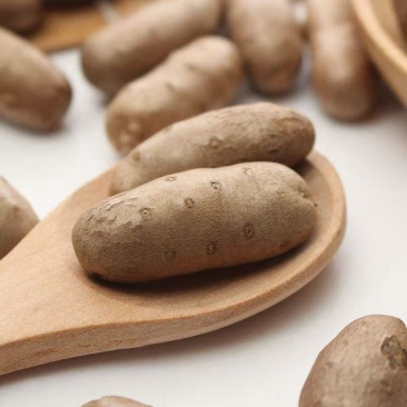 正品<font color=red>山药</font>豆现货秒发全网低价，规格齐全