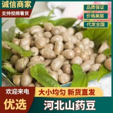 正品山药豆现货秒发全网低价，规格齐全可视频看货