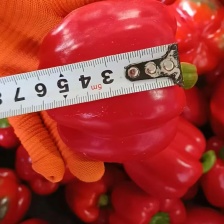 电商，社区团购，整车批发