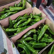 花辣椒，彩椒，七彩椒，青红椒，花公鸡，杂椒，货源充足