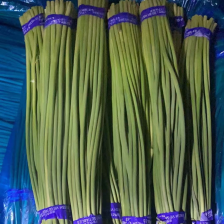 蒜苔 河北产区直发 保质保量供货欢迎咨询选购