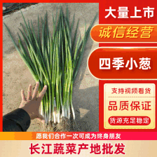 实在办事，诚信经营，常年供货，质量保证。