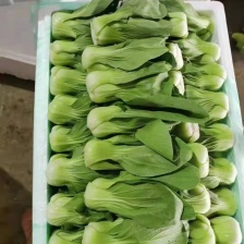 永会蔬菜瓜果基地